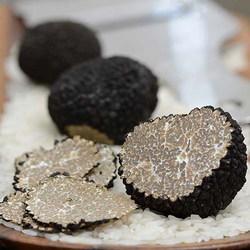 Buy Fresh Black Summer Truffles Online | Gourmet Food Store Photo [3]