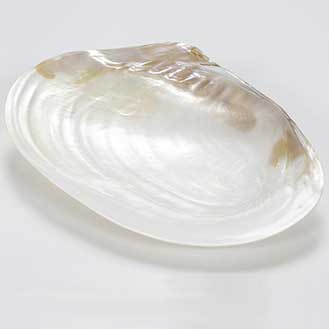 Hand Carved Mother-of-Pearl Caviar Serving Plate - Large