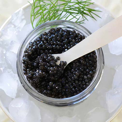 Emperior American White Sturgeon Caviar | Farm Raised Sturgeon