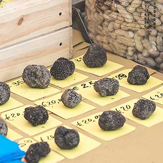 Truffles and Mushrooms for Sale, Overnight Delivery