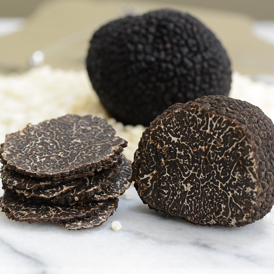 Fresh-Black-Winter-Truffle-1S-3488.jpg