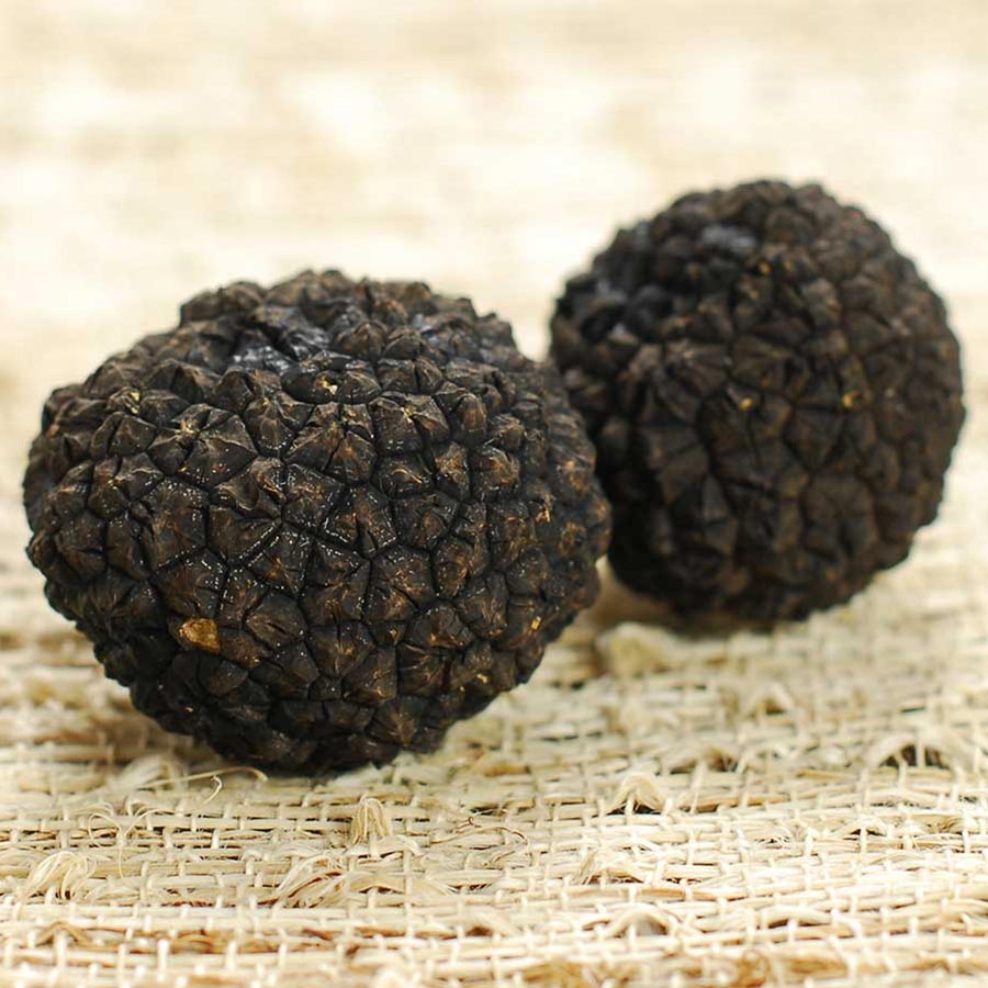 Fresh Black Burgundy Truffles from Italy - Gourmet Food Store