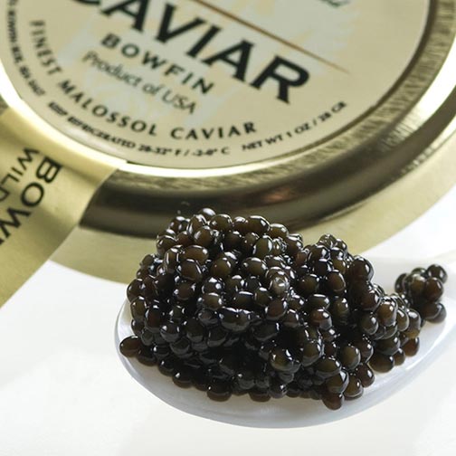 American Black Bowfin CaviarMalossol - buy caviar online at Gourmet ...