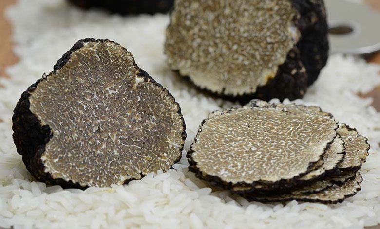Pieces of Summer Black Truffle, photo by Gourmet Food Store