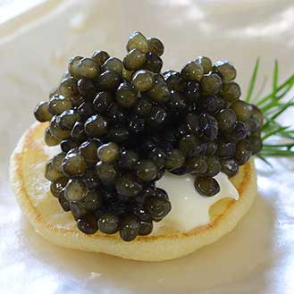 What is Beluga Caviar? ▶️ Gourmet Food Store