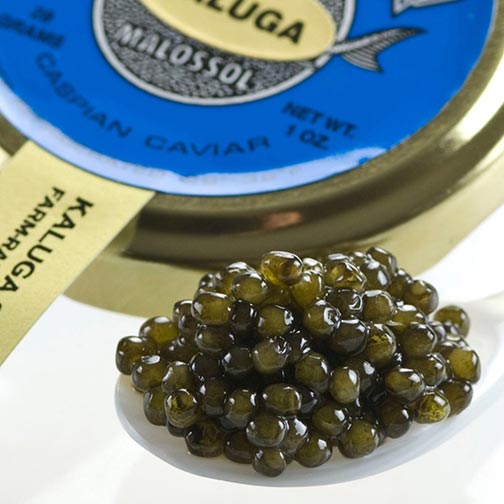 Kaluga Fusion Sturgeon Caviar - Malossol, Farm Rised Photo [1]